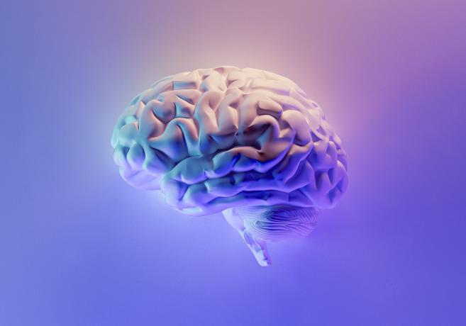 A purple-hued 3D rendering of a human brain